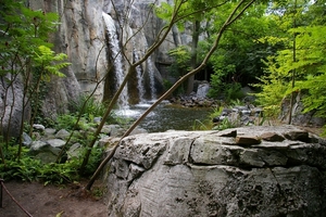 IMGP5866