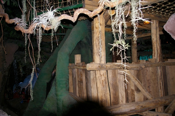 IMGP5869