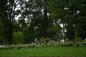 IMGP5943