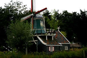 IMGP5949