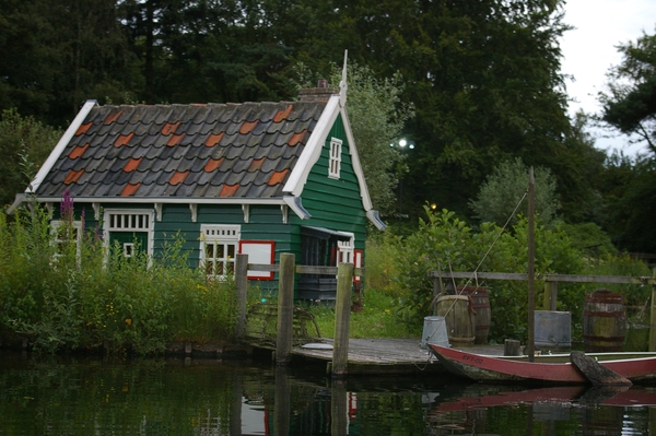 IMGP5950