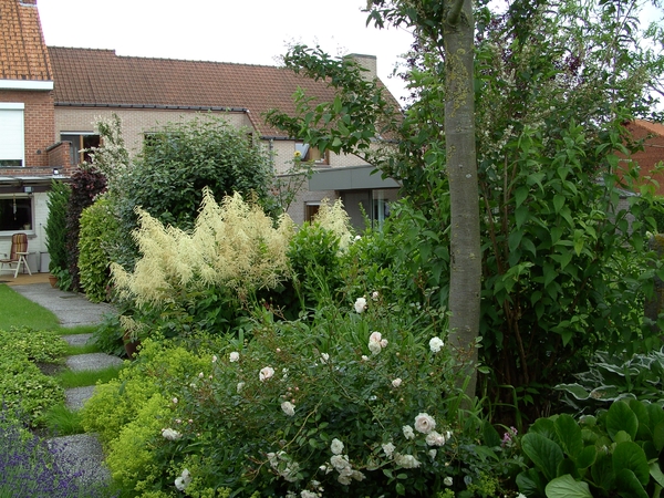 tuin2 005