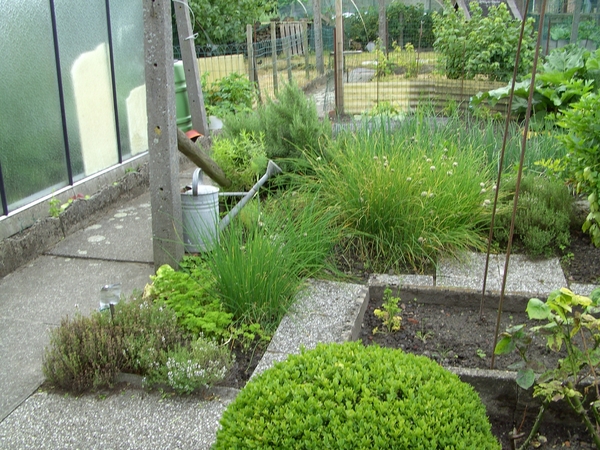 tuin2 012