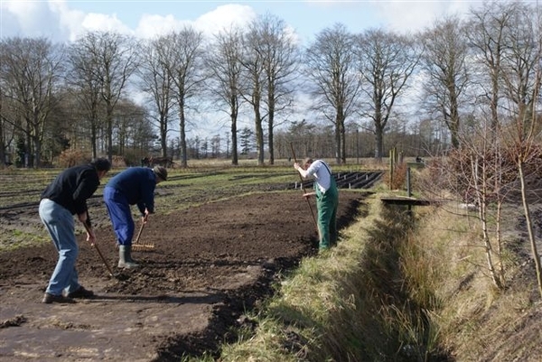 Keline grondwerken aanleg terrein frezen ploegen