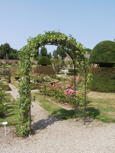 TUINONDERHOUD snoeien, zagen, maaien, bomen zagen