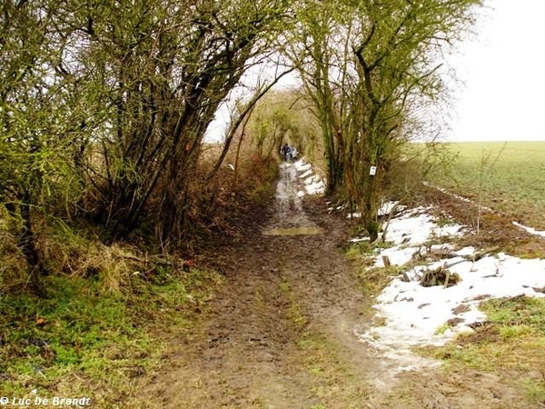 ardennen wandeling adeps thynes