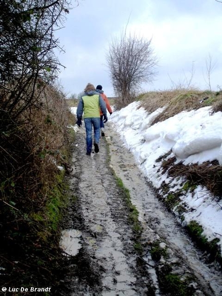 ardennen wandeling adeps thynes