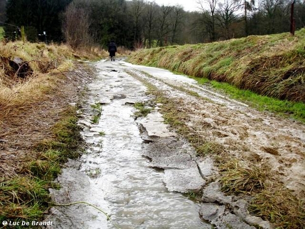 ardennen wandeling adeps thynes