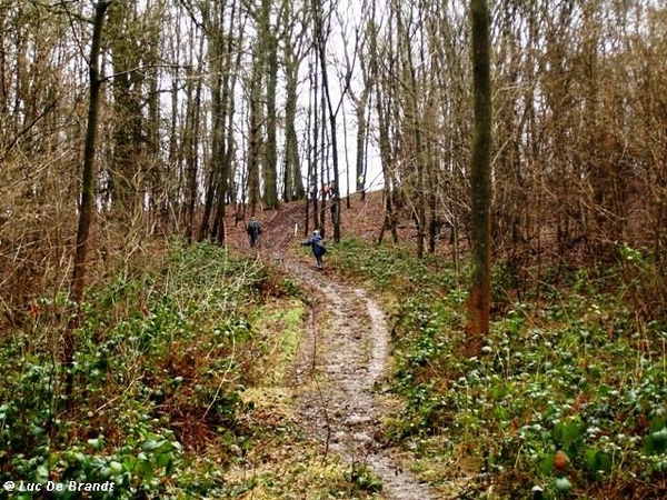 ardennen wandeling adeps thynes