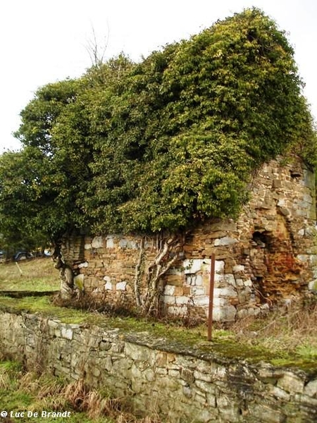 ardennen wandeling adeps thynes