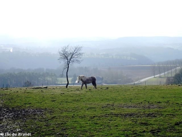 ardennen wandeling adeps thynes