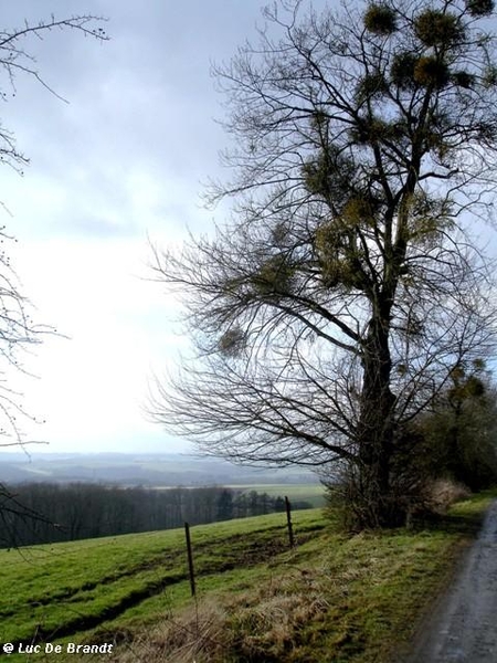 ardennen wandeling adeps thynes