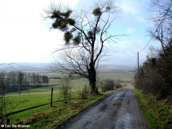 ardennen wandeling adeps thynes