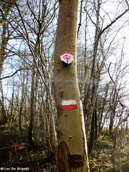 ardennen wandeling adeps thynes