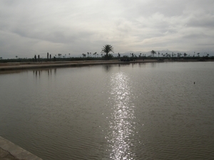 P0000023