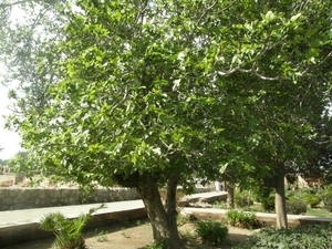 P0000045