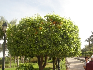 P0000032