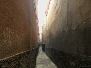 P0000236