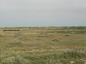P0000287