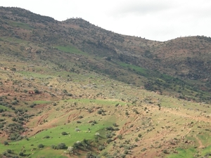 P0000308
