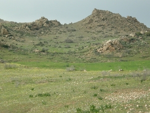 P0000309