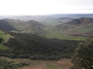 P0000311