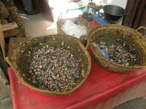 P0000342