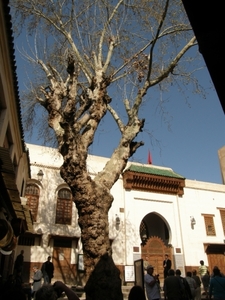 P0000362