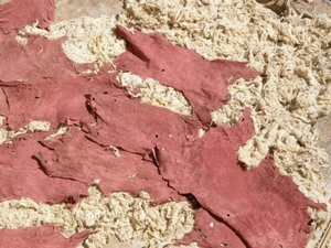 P0000442