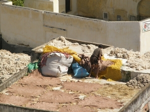 P0000462