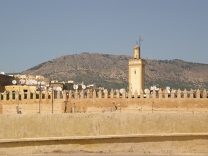 P0000480