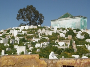 P0000484
