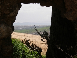 P0000485