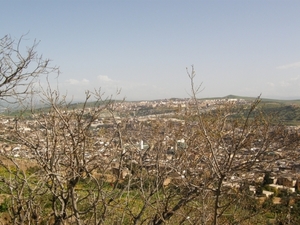 P0000486