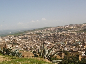 P0000487