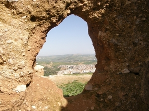 P0000494