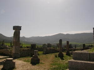 P0000561