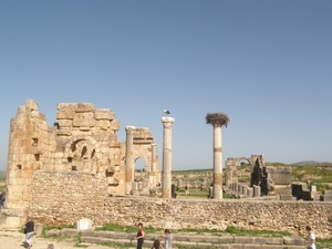 P0000562