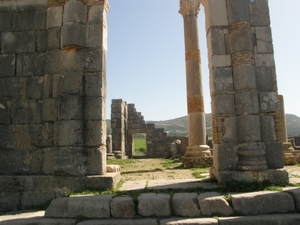 P0000566