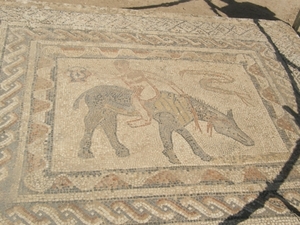P0000567