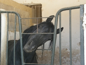 P0000610