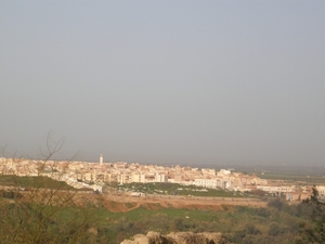 P0000630