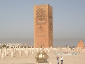 P0000667
