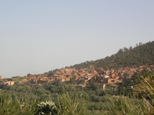 P0000836