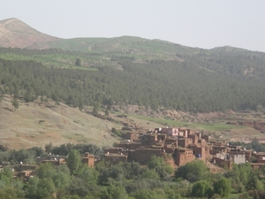 P0000843