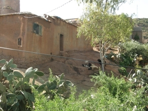 P0000845