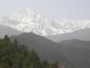 P0000879