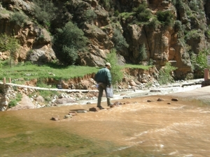 P0000884