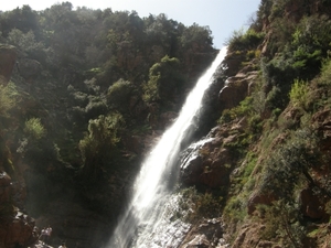 P0000885