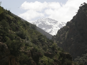 P0000888
